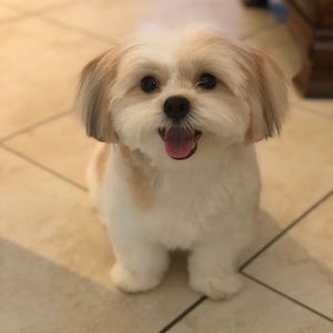 Meet your Posher, Alexandra